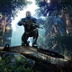 Art from Crysis 3